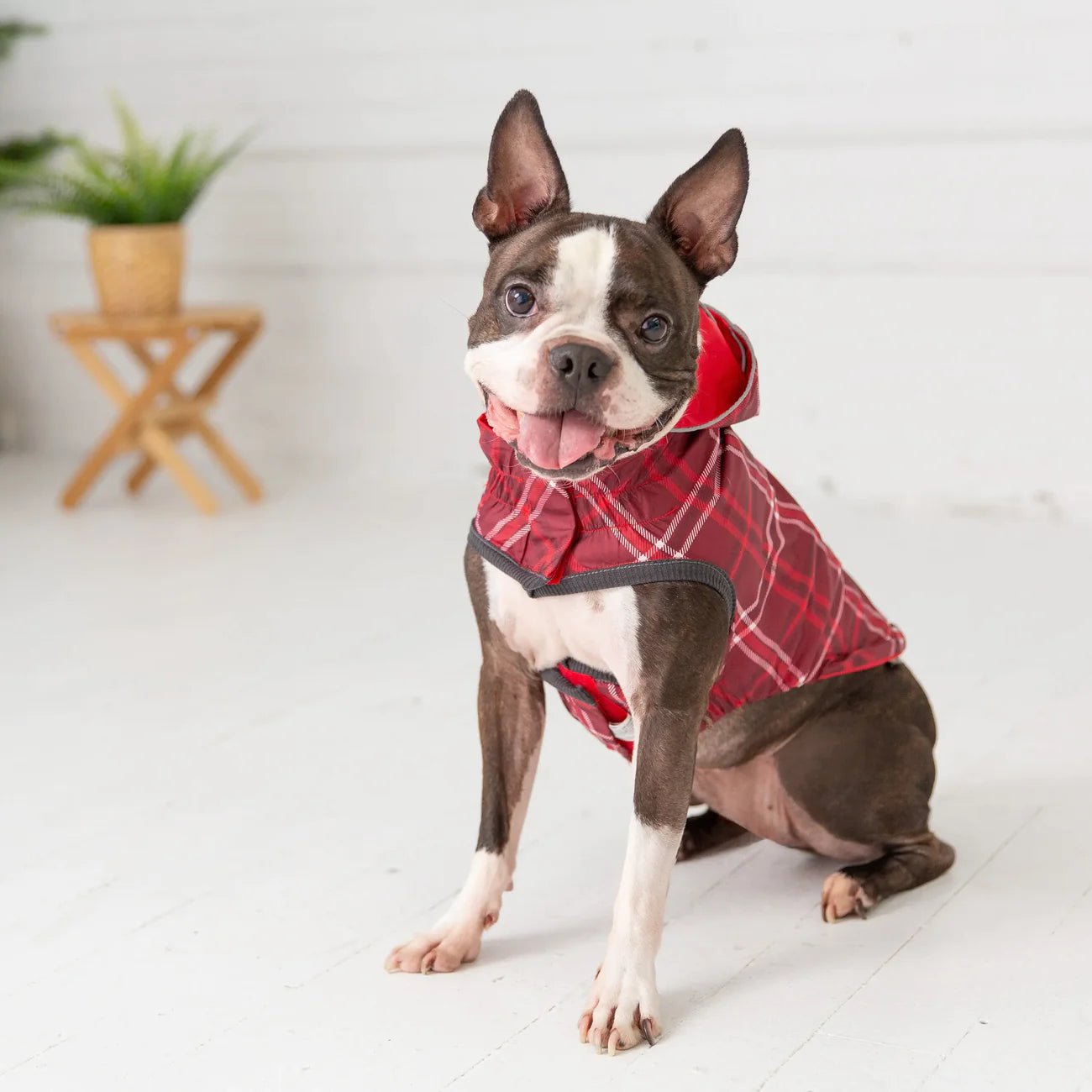 Elasto - Fit Reversible Dog Raincoat (Red Plaid) - Wuffies
