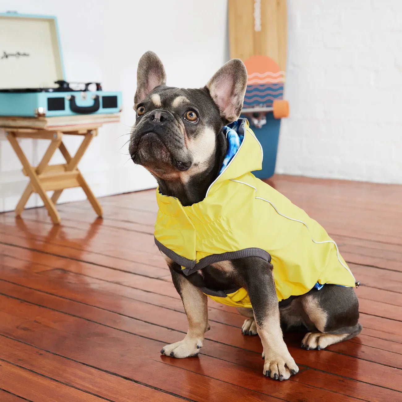 Elasto - Fit Reversible Dog Raincoat (Yellow Tie - Dye) - Wuffies