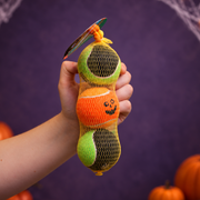 Sportspet Halloween Squeak Spooky Dog Toy (3 Pack)