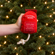 House of Paws Christmas North Pole Post Box Dog Toy