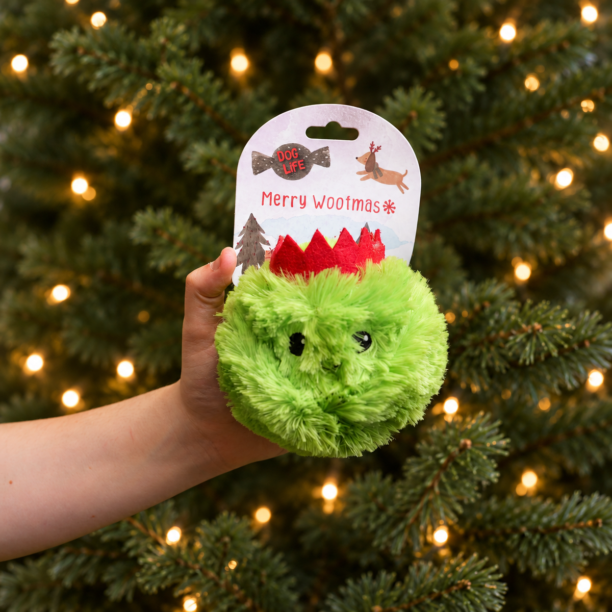 James Marketing Royal Christmas Sprout (Small, Single Toy)