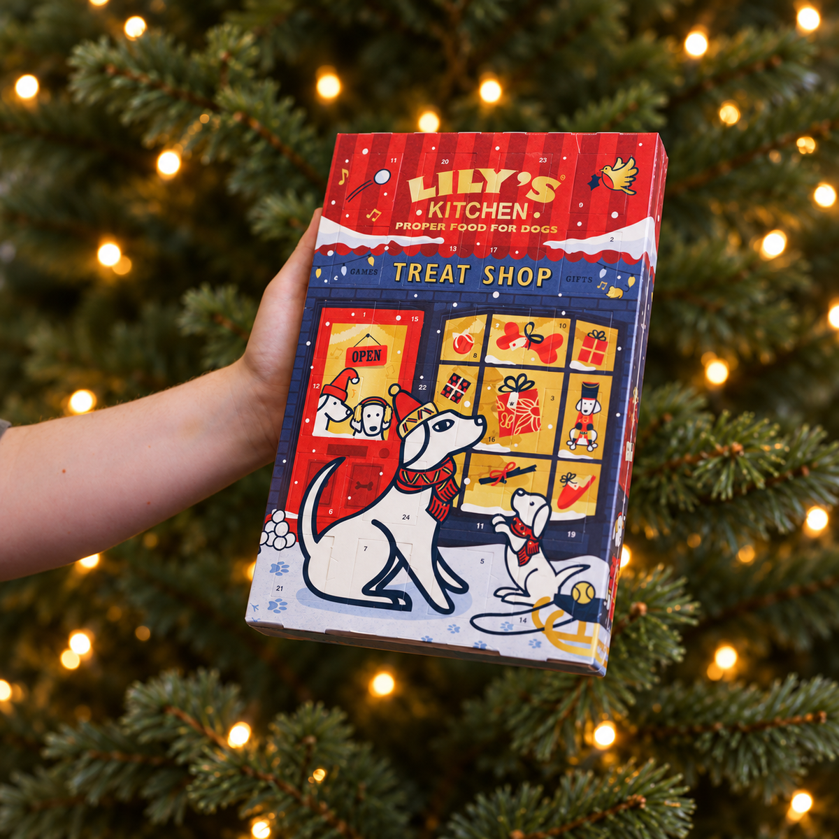 Lily's Kitchen Christmas Advent Calendar for Dogs (100g)