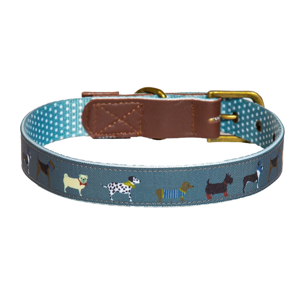 FatFace Marching Dog Collar - Wuffies