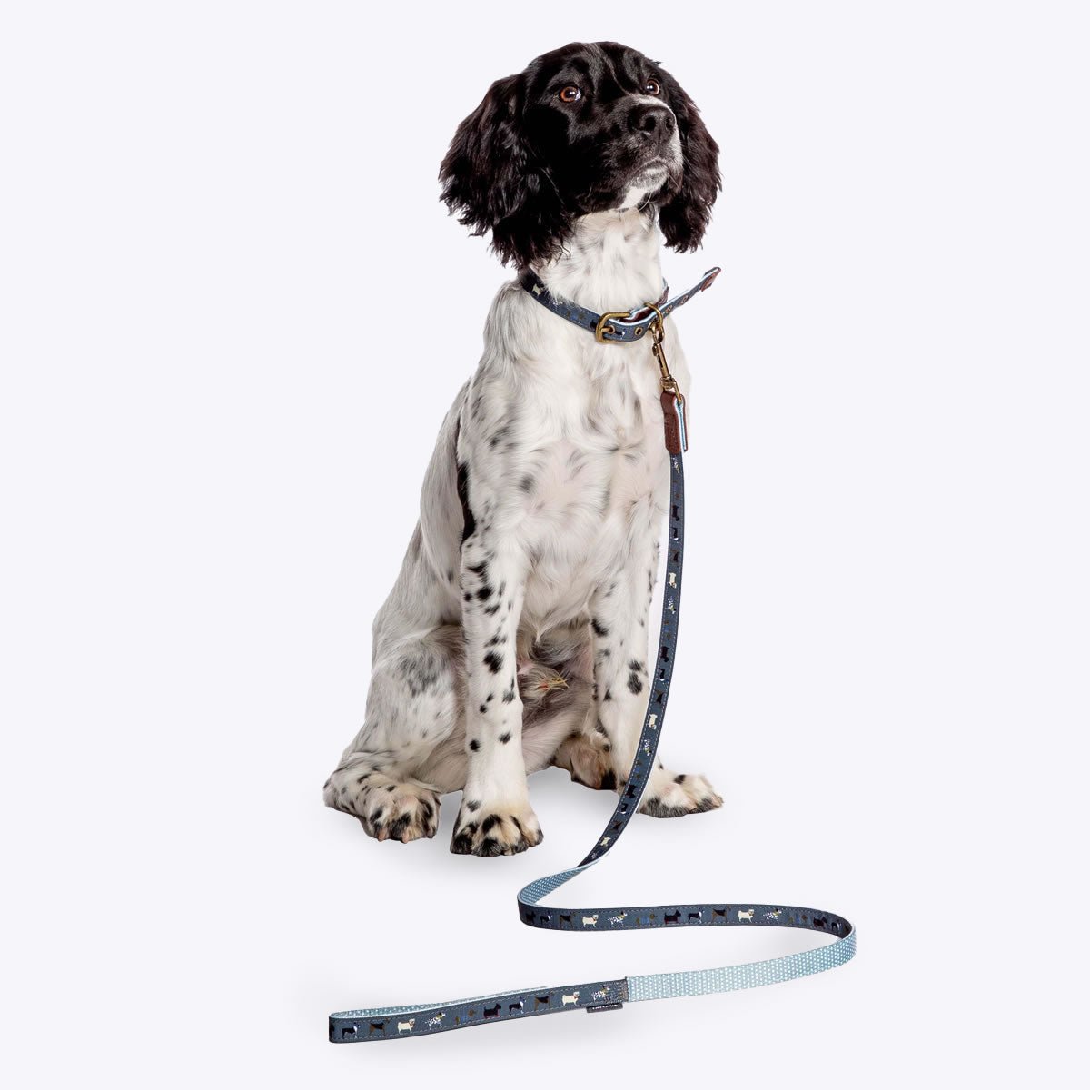 FatFace Marching Dog Lead (One Size) - Wuffies