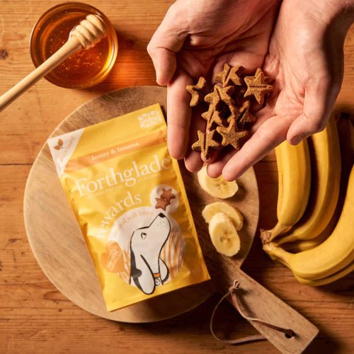 Forthglade Banana & Honey Soft Bites (90g) - Wuffies