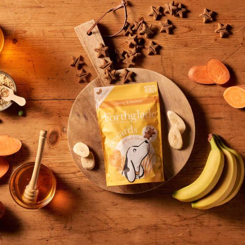 Forthglade Banana & Honey Soft Bites (90g) - Wuffies