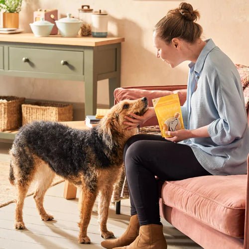 Forthglade Banana & Honey Soft Bites (90g) - Wuffies