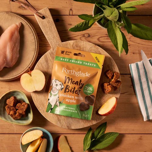 Forthglade Chicken with Apple Meaty Bites (70g) - Wuffies