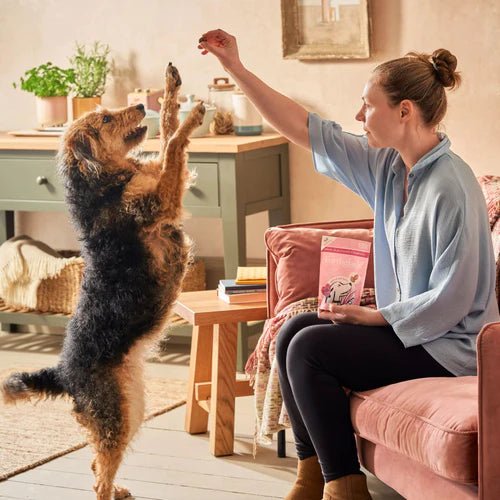 Forthglade Joints & Bones Multi - Functional Soft Bites With Salmon Oil (90g) - Wuffies