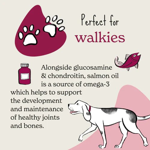 Forthglade Joints & Bones Multi - Functional Soft Bites With Salmon Oil (90g) - Wuffies