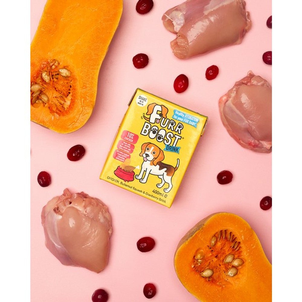 Furr Boost Chicken Butternut Squash & Cranberry Dog Smoothie (400ml) - Wuffies