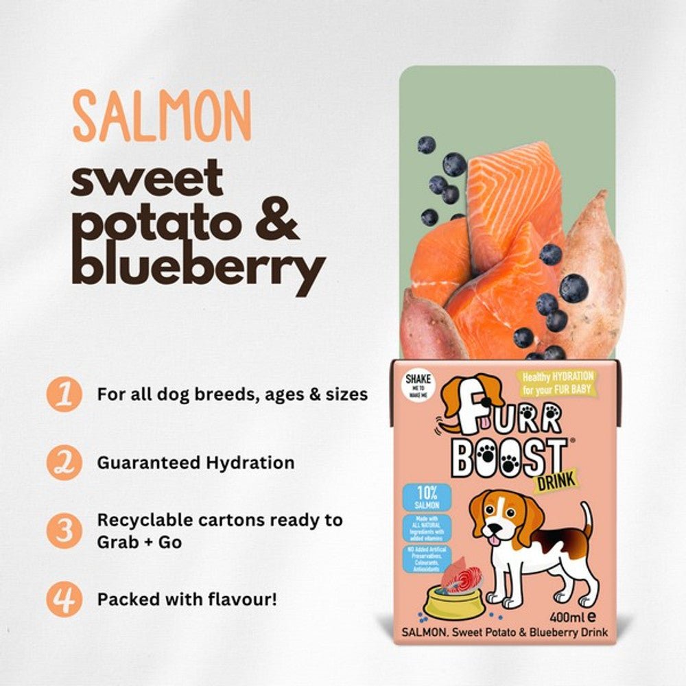Furr Boost Salmon, Sweet Potato & Blueberry Dog Smoothie (400ml) - Wuffies