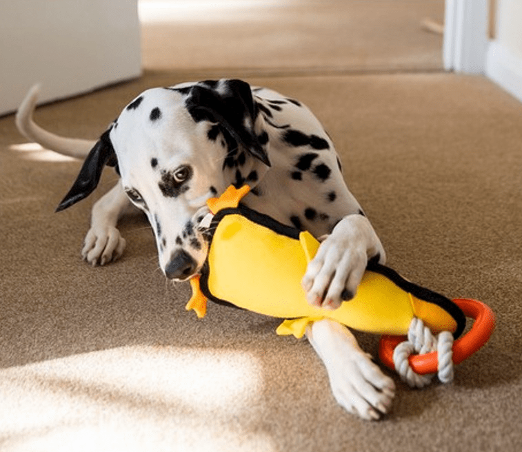 GiGwi Iron Grip Duck Plush Tug Toy with TPR Handle - Wuffies