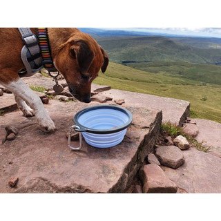 Henry Wag Travel Bowl (350ml) - Wuffies