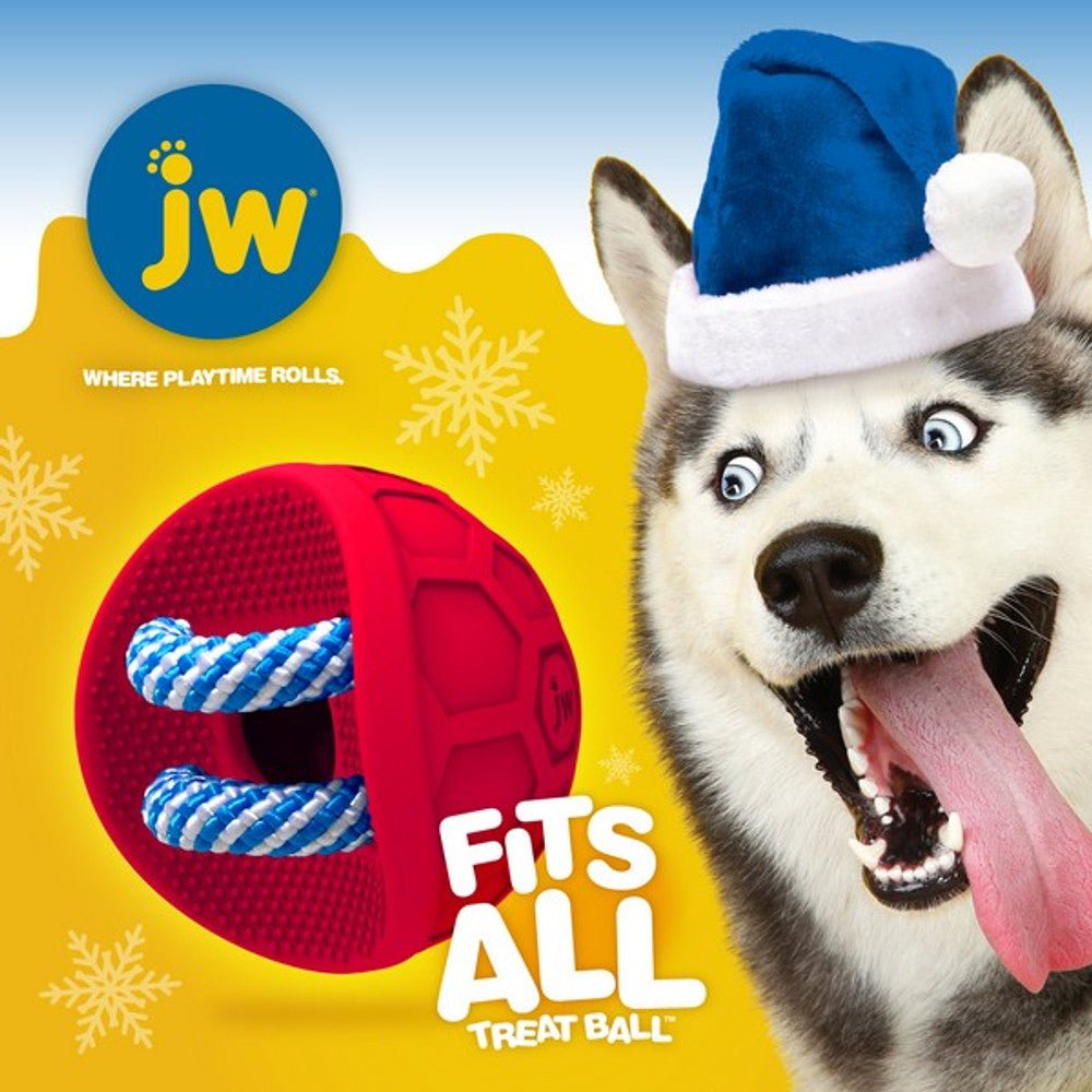 JW Fits All Treat Ball Dog Toy - Wuffies