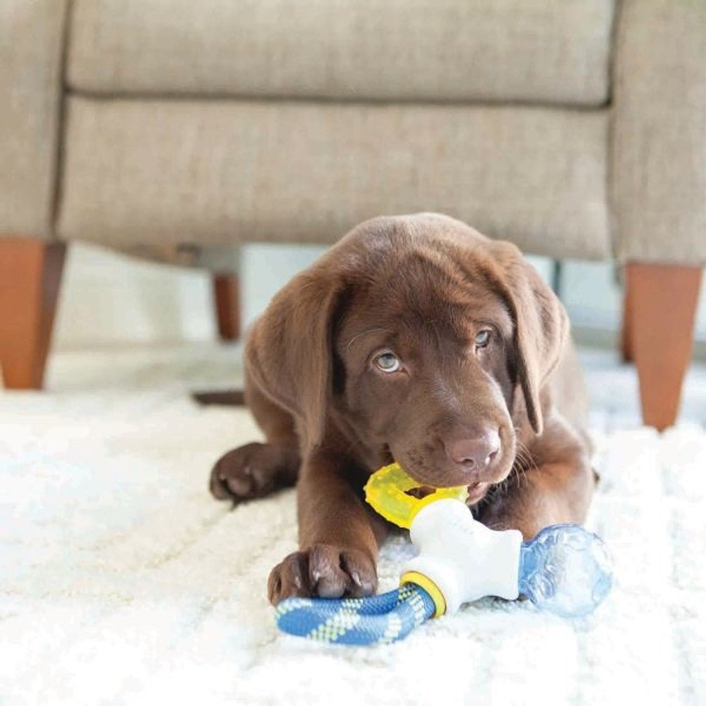 JW Puppy Connects - Wuffies