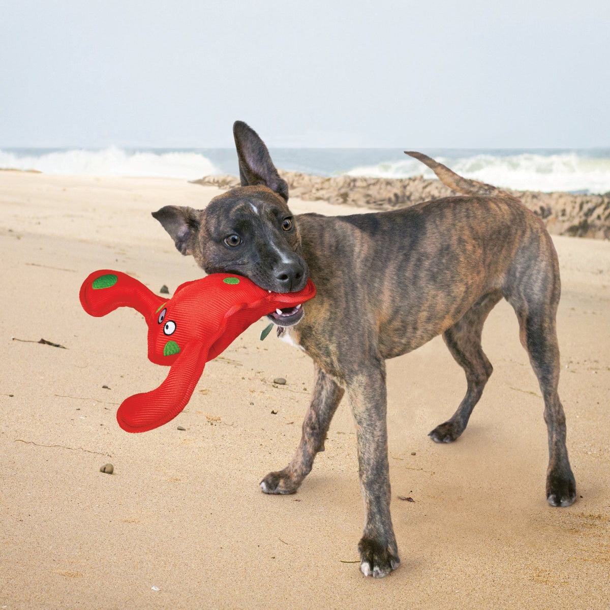 KONG Belly Flops Lobster - Wuffies