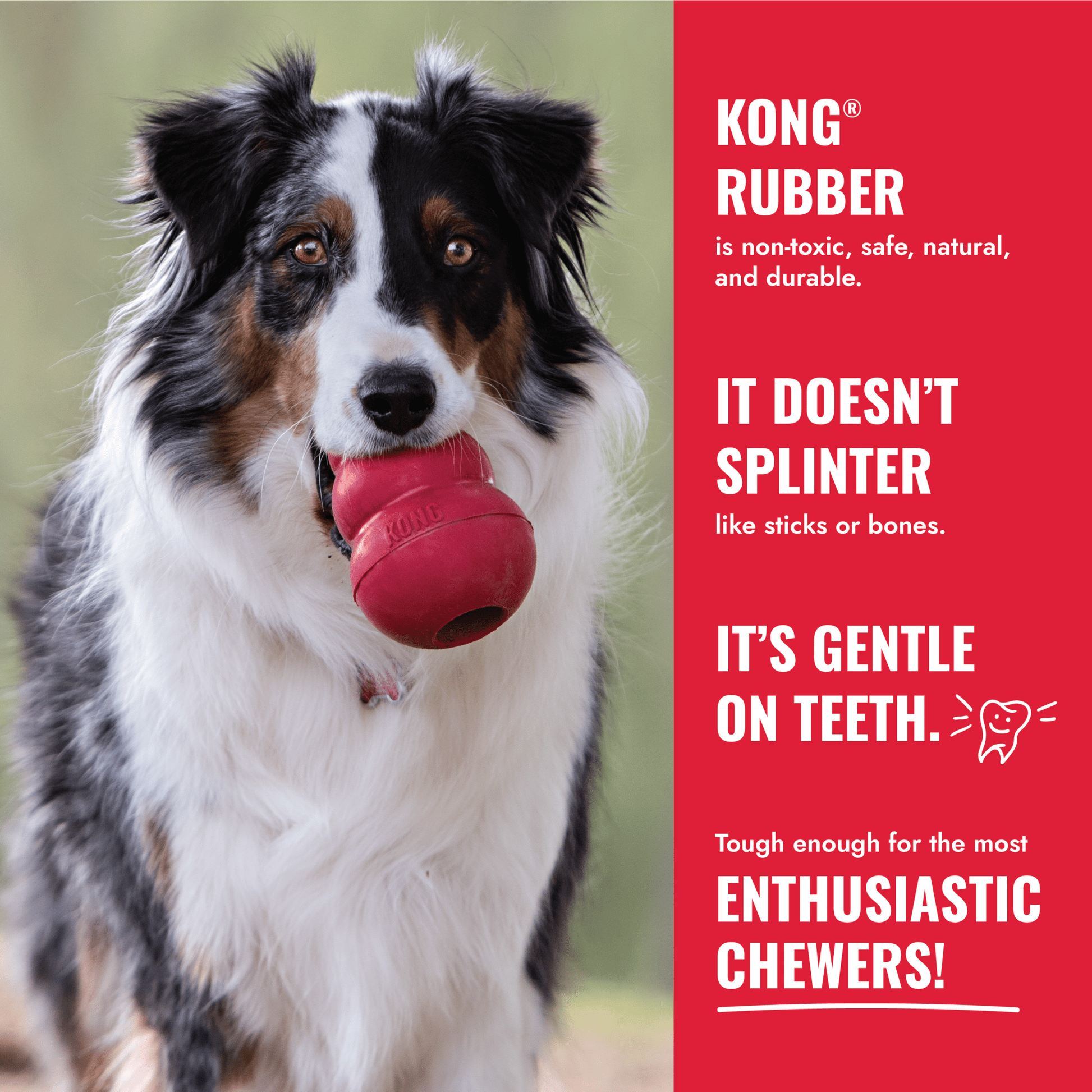 KONG Classic - Wuffies
