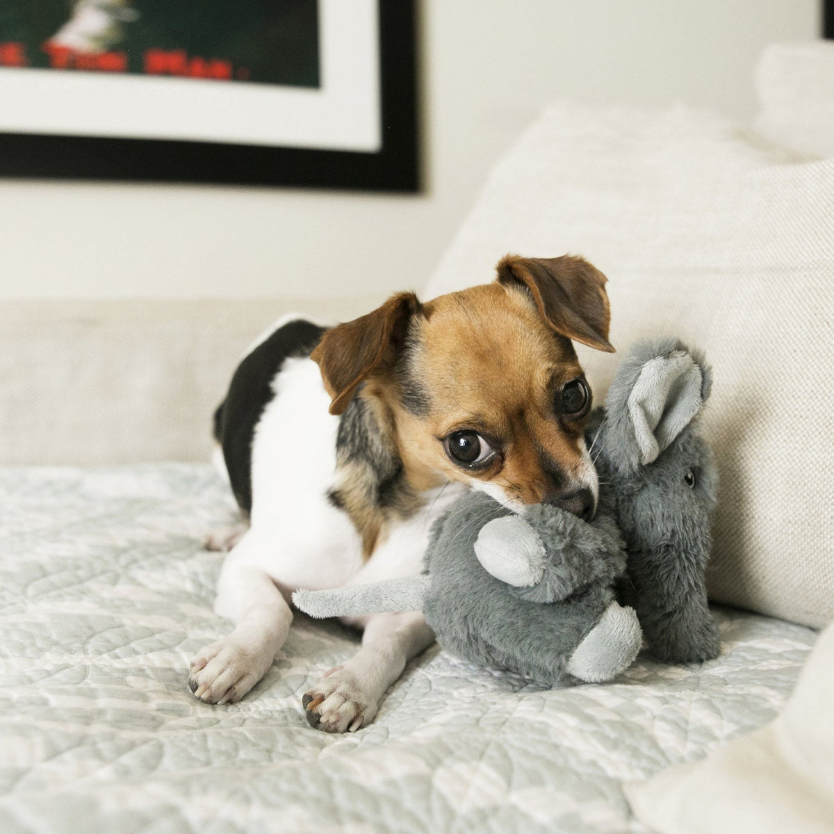 KONG Comfort Kiddos Elephant - Wuffies