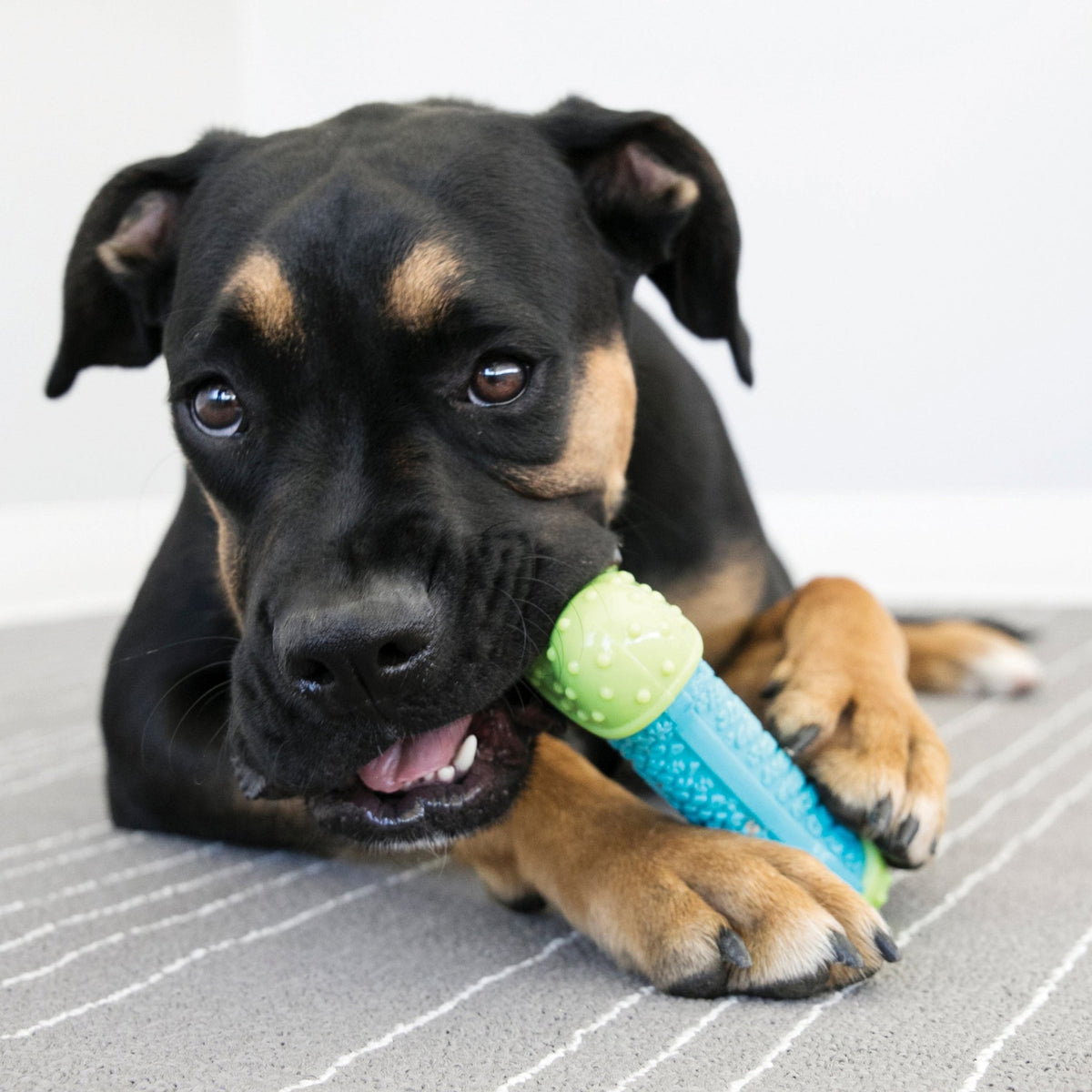 KONG Corestrength Bone - Wuffies