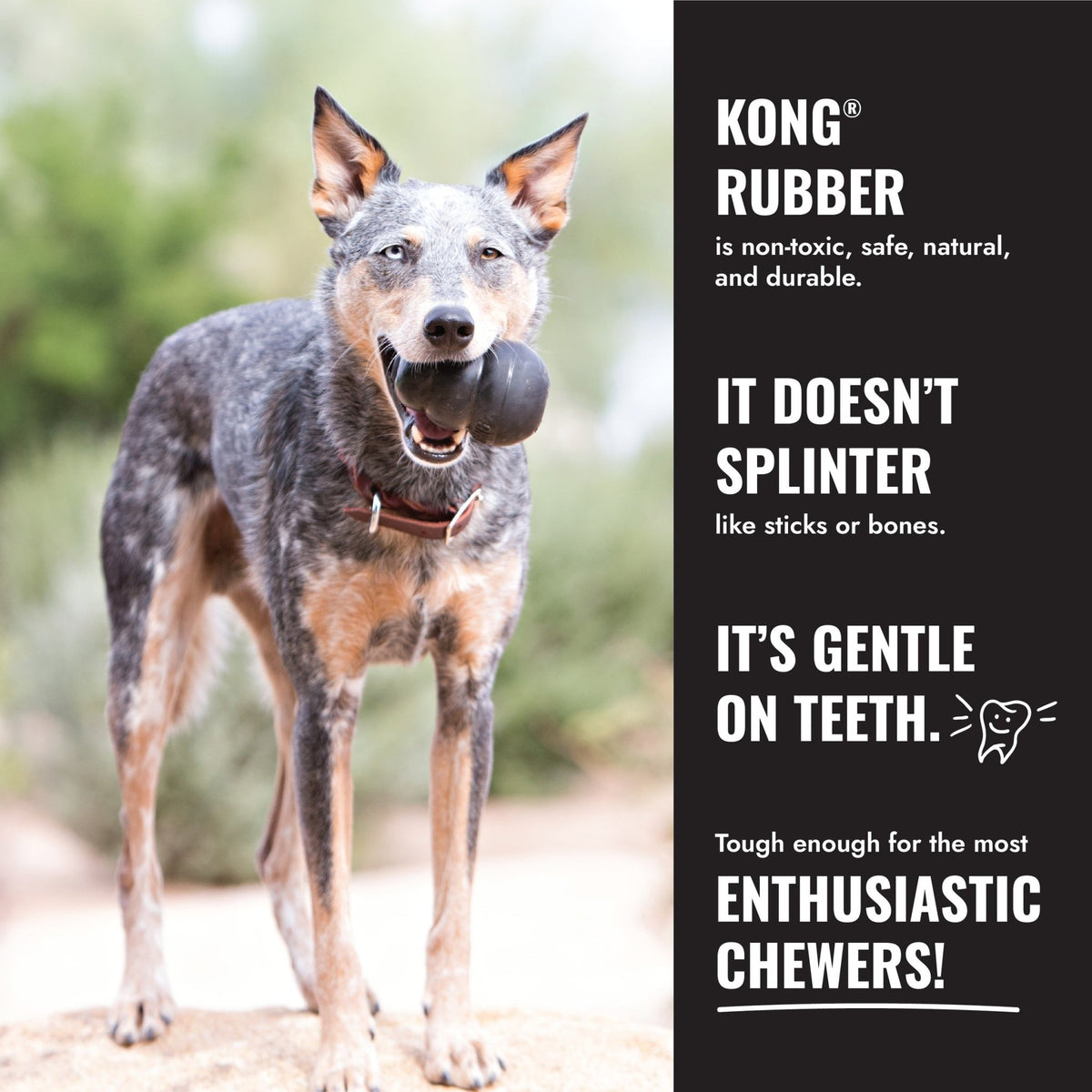 KONG Extreme Tyres - Wuffies