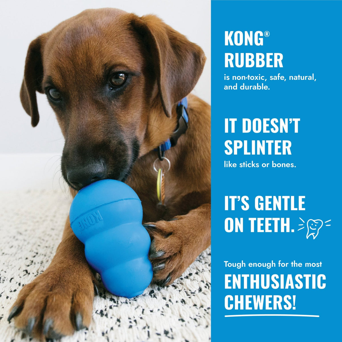 KONG Puppy Goodie Bone (Small, Assorted) - Wuffies