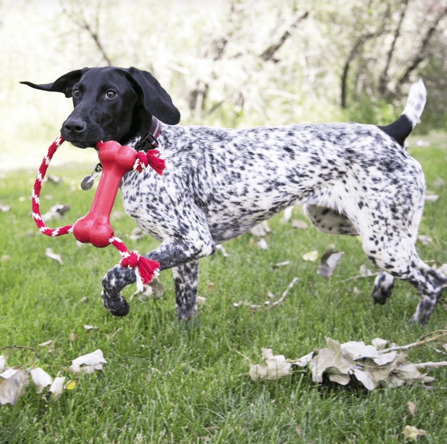 KONG Rope Goodie Bone (Medium) - Wuffies