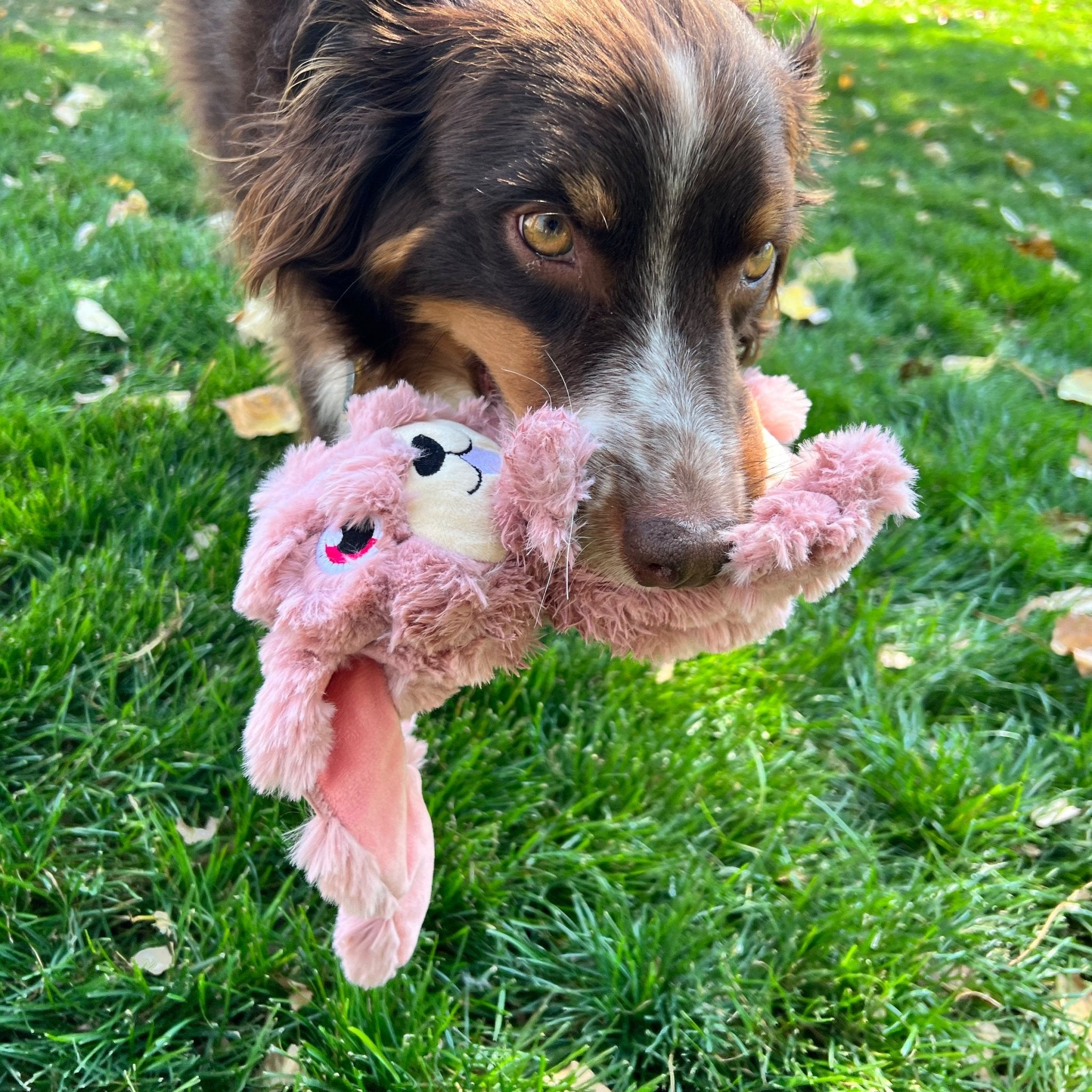 KONG Scrumplez Bunny (Medium) - Wuffies
