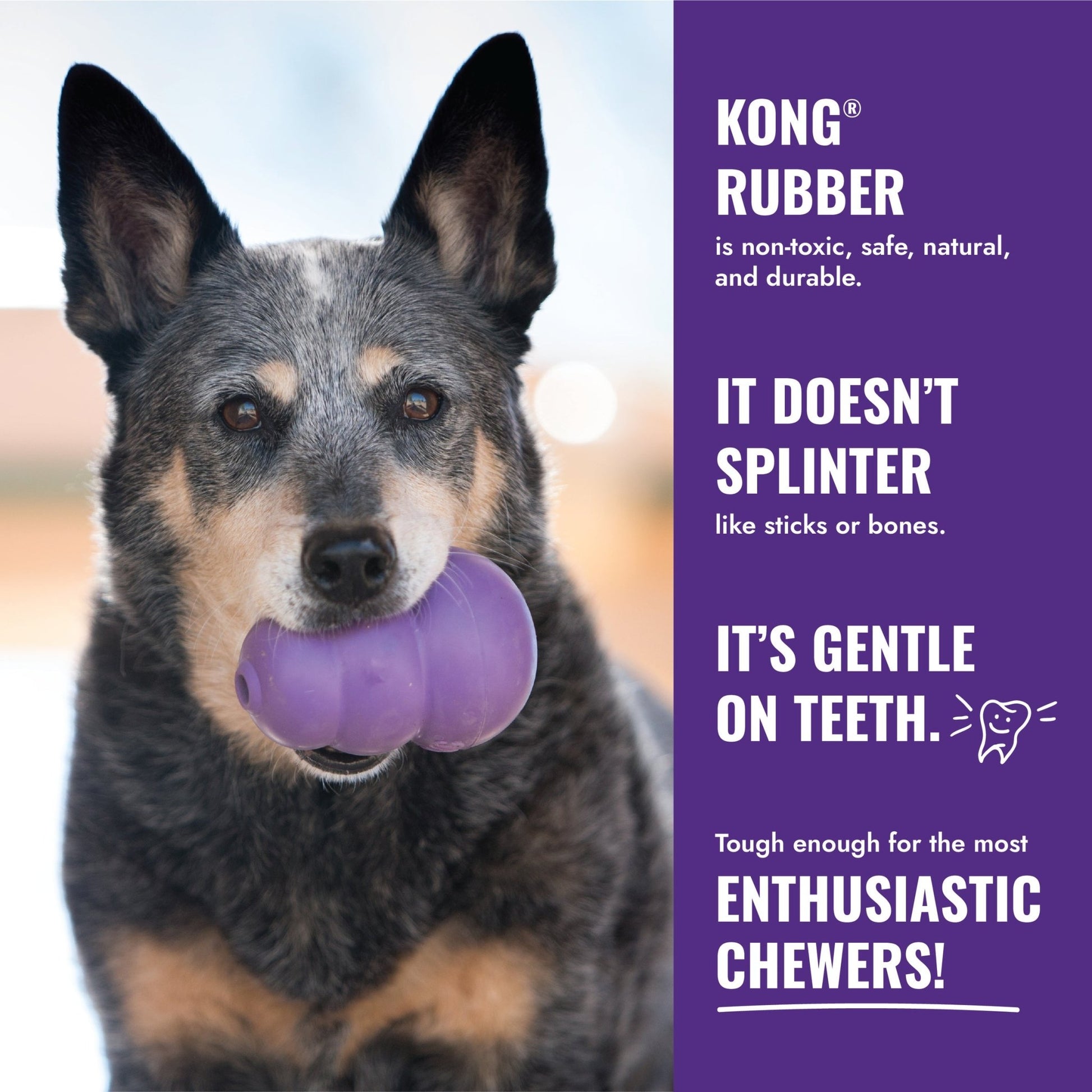KONG Senior Treat Dispenser - Wuffies