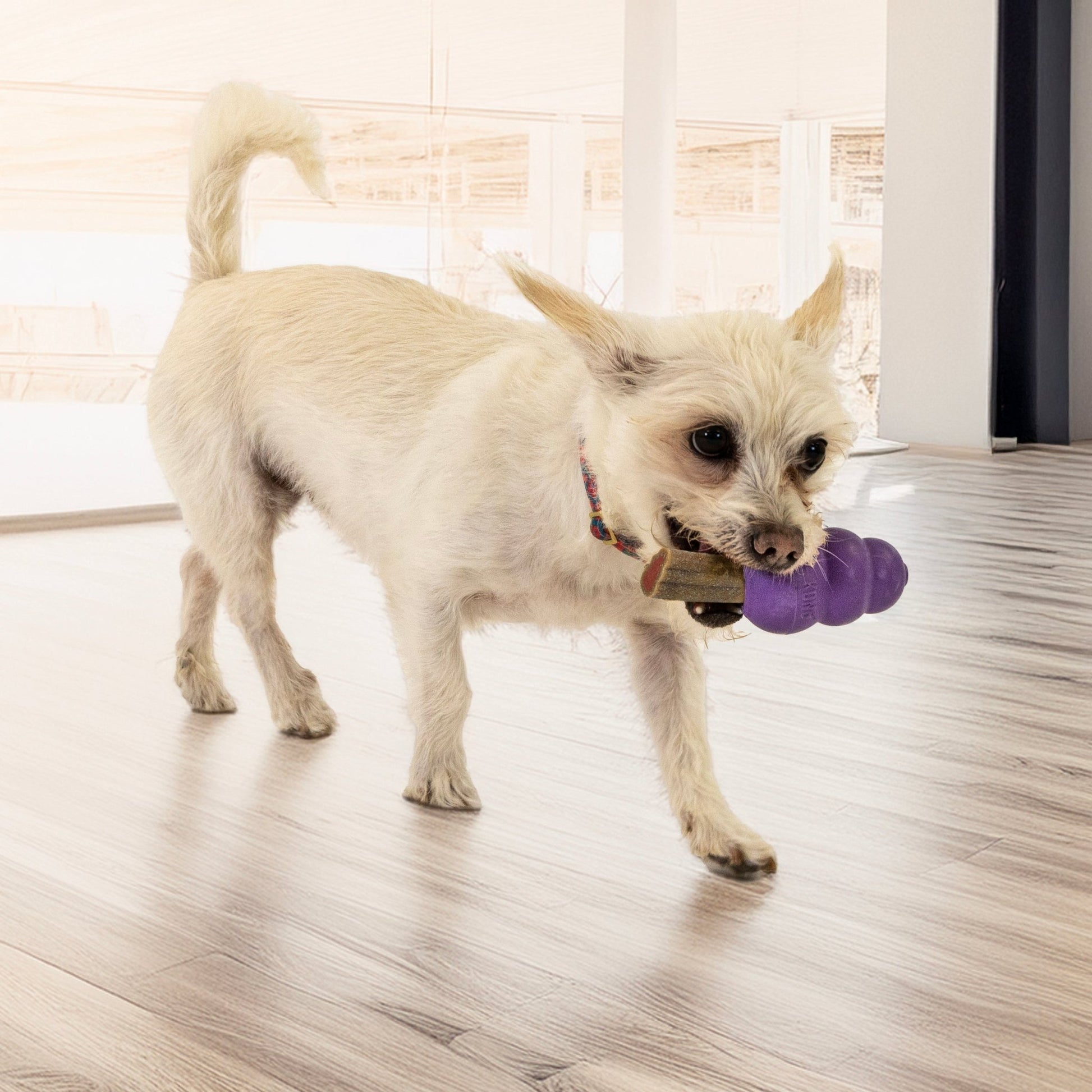KONG Senior Treat Dispenser - Wuffies
