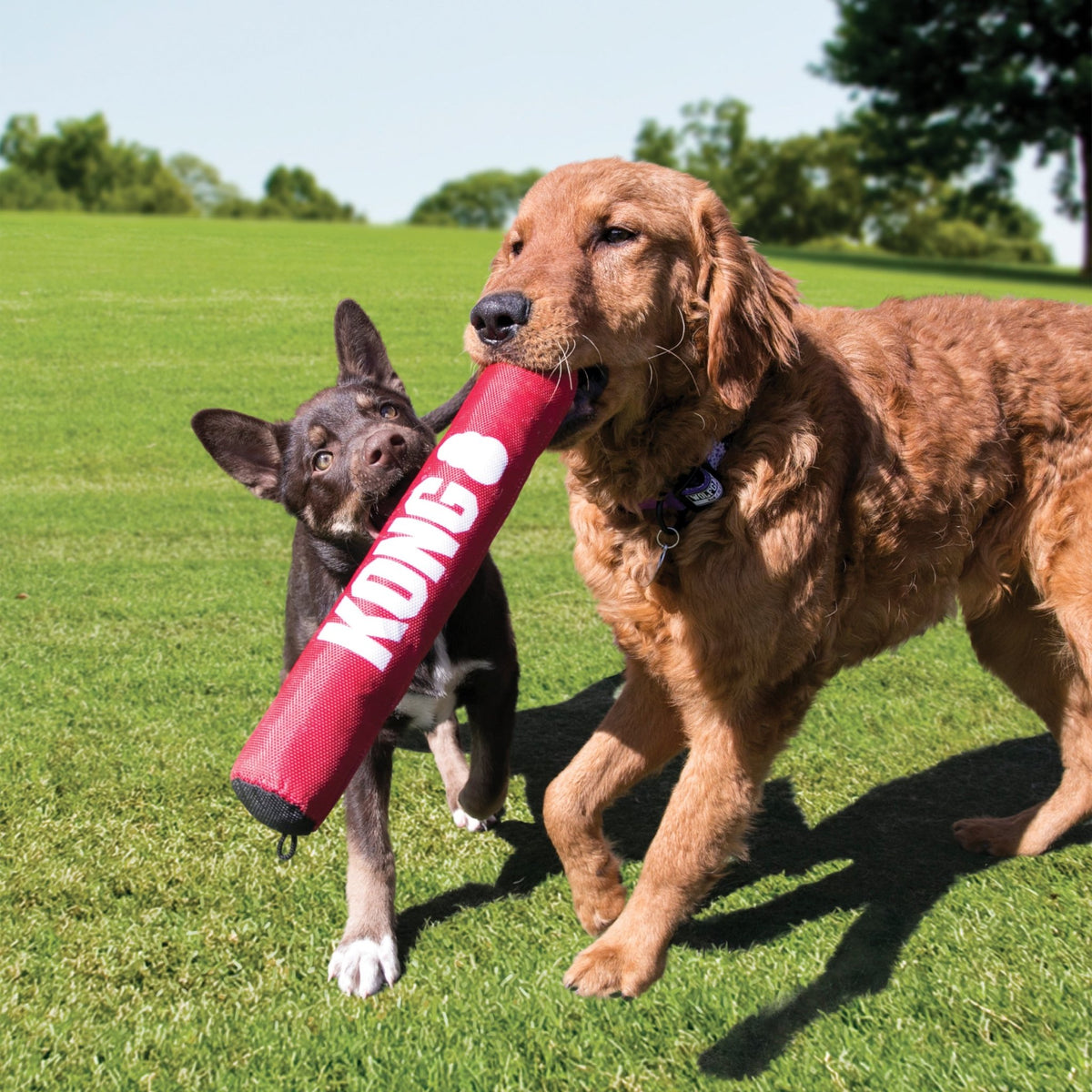 KONG Signature Stick Dog Toy - Wuffies