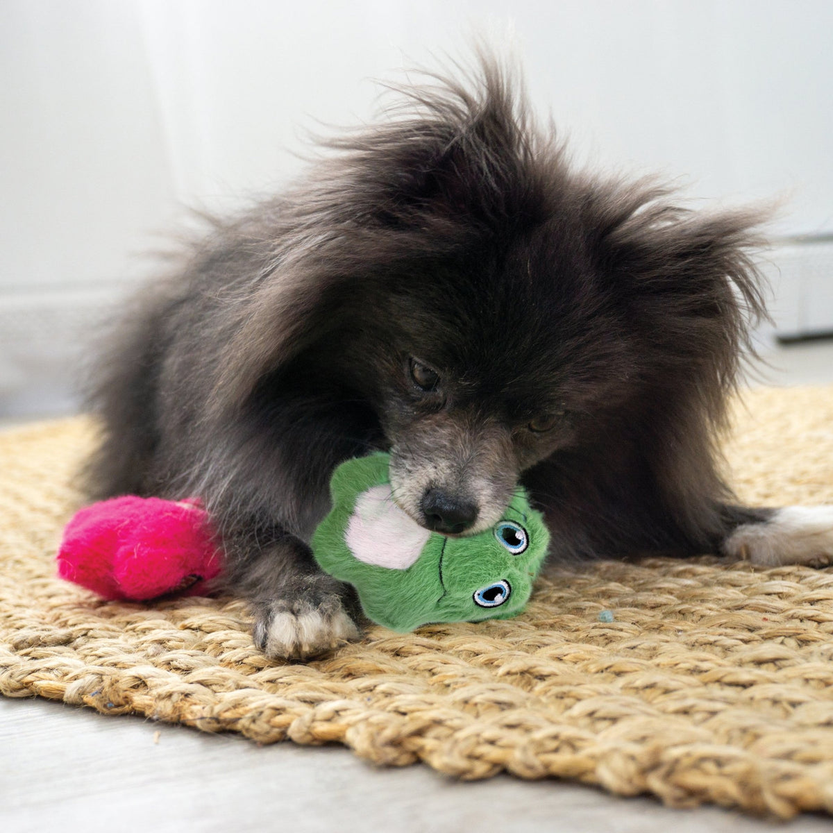 KONG Snuzzles Mini Frog (X-Small) - Wuffies