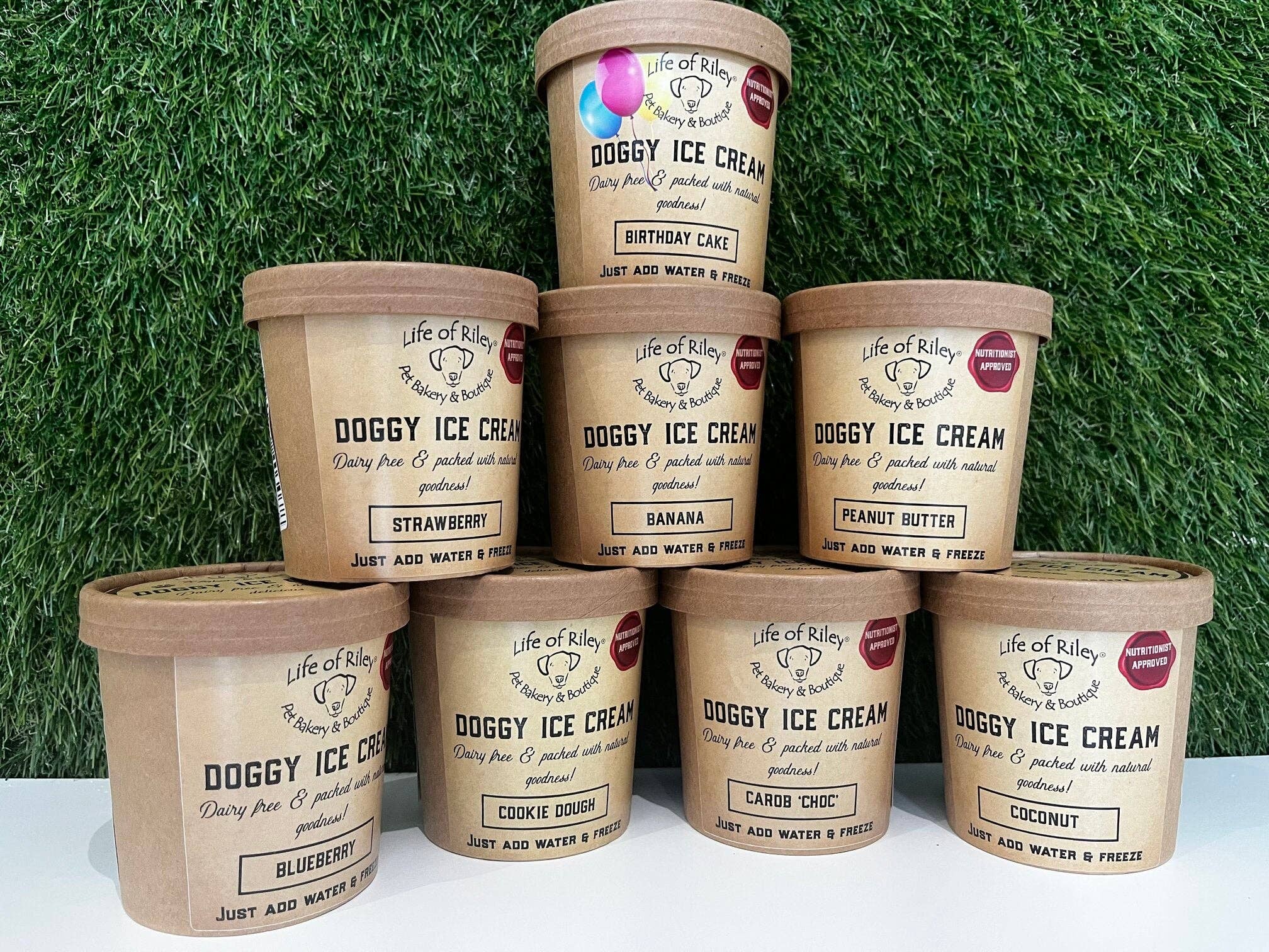 Life Of Riley Bakery Doggy Ice Cream DIY Kit (Birthday Cake) - Wuffies