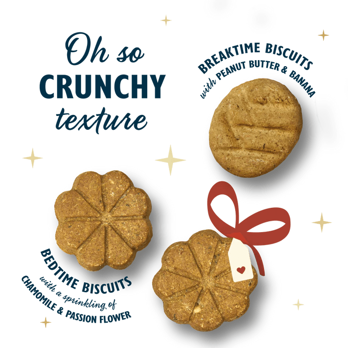 Lily's Kitchen Advent Calendar for Dogs (100g) - Wuffies