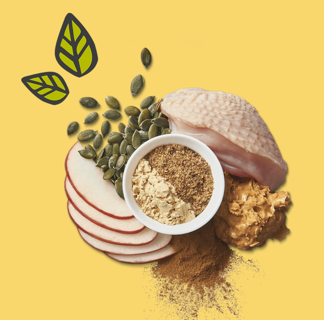 Lily's Kitchen Chicken Protein Bites (40g) - Wuffies