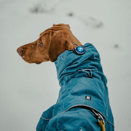Orbiloc Dog Dual Safety Light (Blue) - Wuffies