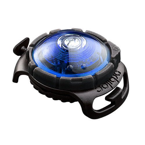 Orbiloc Dog Dual Safety Light (Blue) - Wuffies