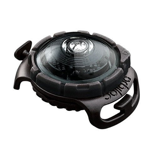 Orbiloc Dog Dual Safety Light (Dark) - Wuffies