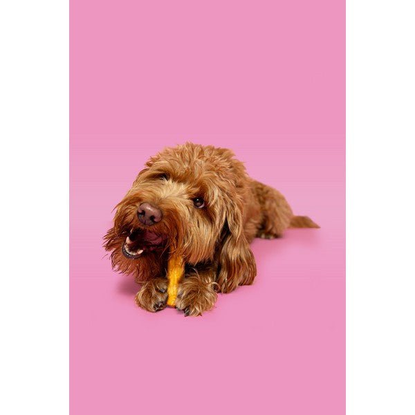 Pawtential Collagen Chew Beef Flavour (36g, Small) - Wuffies