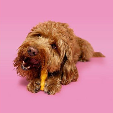 Pawtential Collagen Chew Beef Flavour (36g, Small) - Wuffies