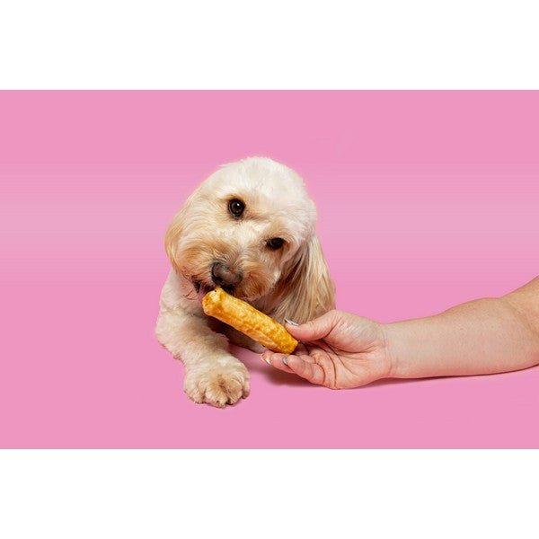 Pawtential Collagen Chew Chicken Flavour (70g, Medium) - Wuffies