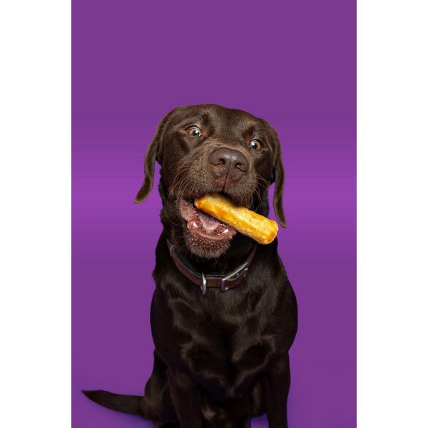 Pawtential Collagen Chew Salmon Flavour (70g, Medium) - Wuffies
