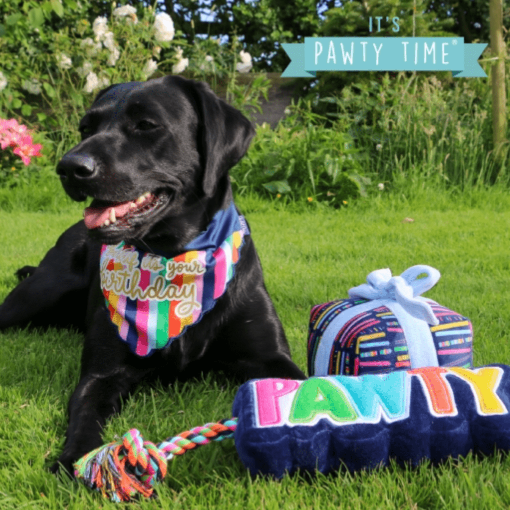 Pawty Dog Bandana - Wuffies