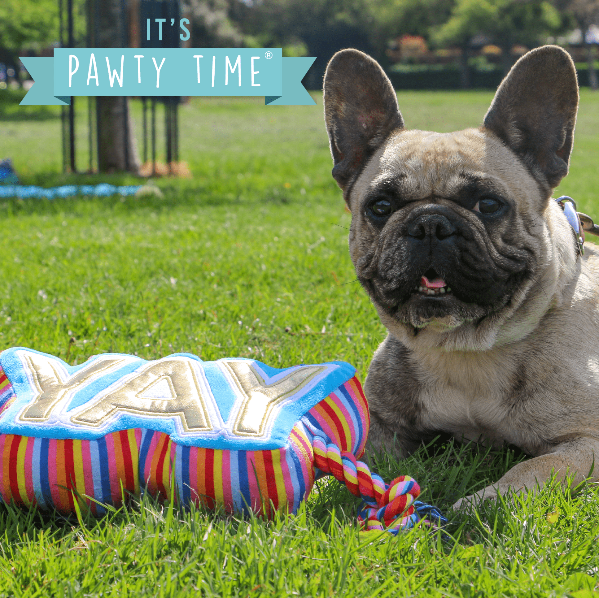 Pawty Yay Tugger Celebration Dog Toy - Wuffies