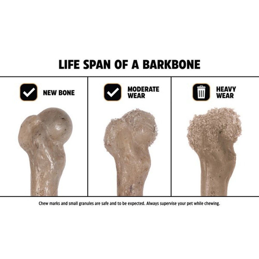 Pet Qwerks Dinosaur Barkbone Peanut Butter Wood Chew Toy (Large) - Wuffies