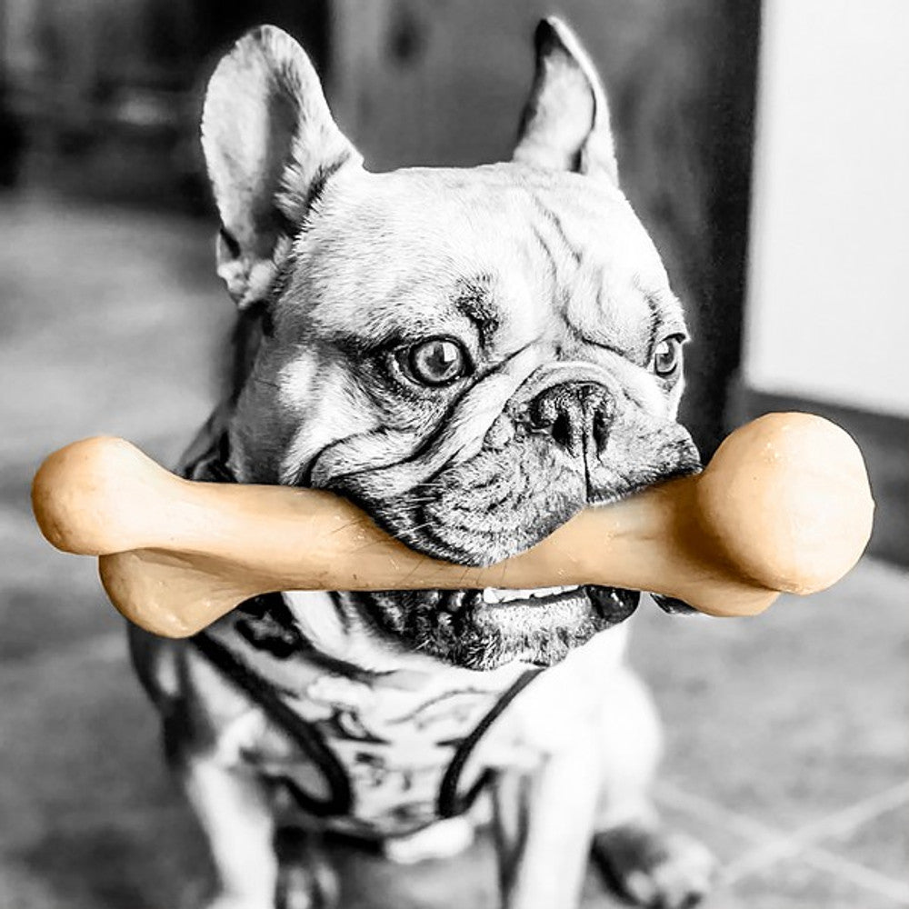 Pet Qwerks Dinosaur Barkbone Peanut Butter Wood Chew Toy (Small) - Wuffies