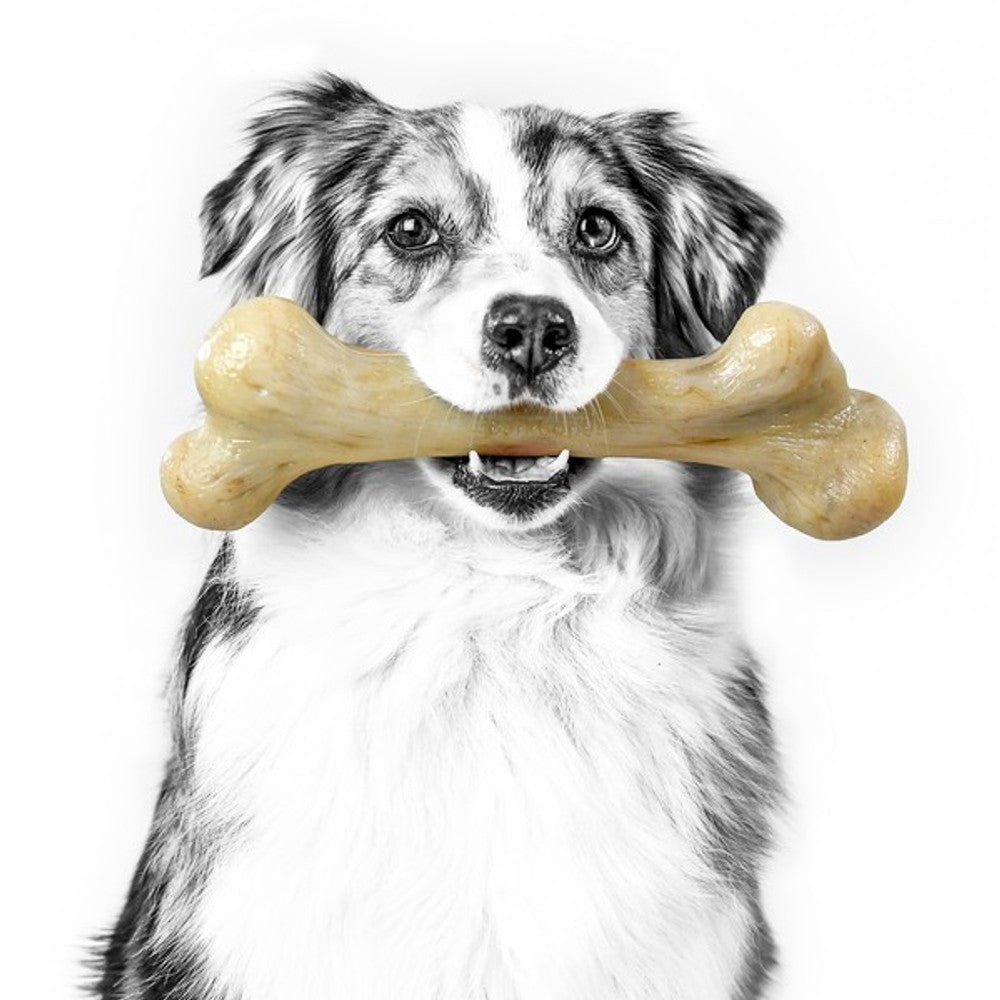 Pet Qwerks Dinosaur Barkbone Peanut Butter Wood Chew Toy (Small) - Wuffies