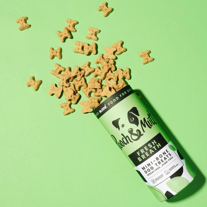 Pooch & Mutt Fresh Breath Mini Bone Natural Dog Treats (125g) - Wuffies