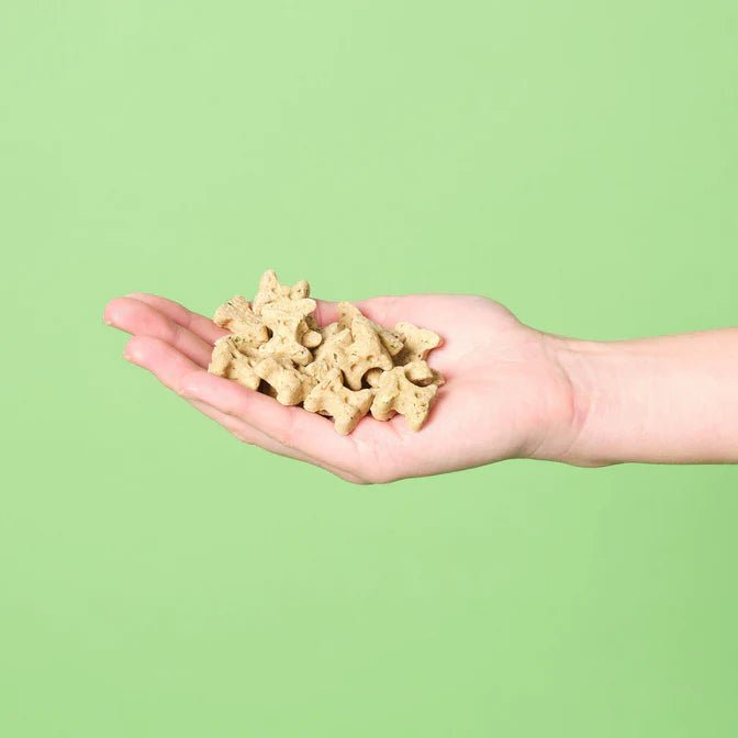 Pooch & Mutt Fresh Breath Mini Bone Natural Dog Treats (125g) - Wuffies