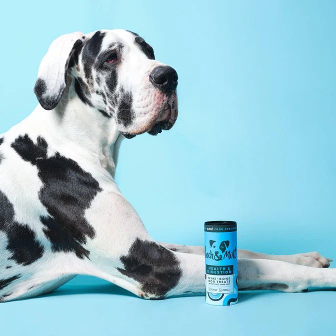 Pooch & Mutt Health & Digestion Mini Bone Natural Dog Treats (125g) - Wuffies